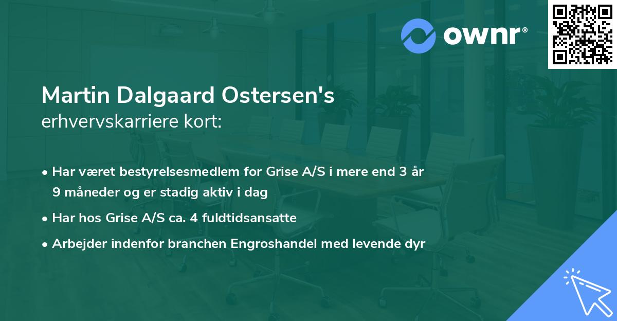 Martin Dalgaard Ostersen's erhvervskarriere kort
