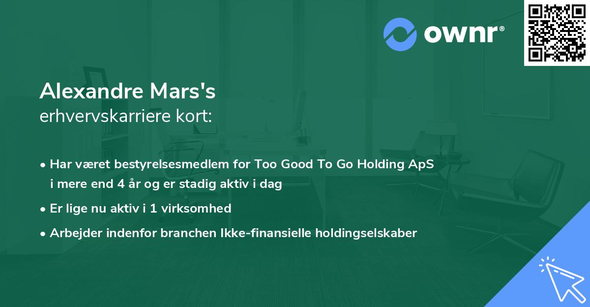 Alexandre Mars's erhvervskarriere kort