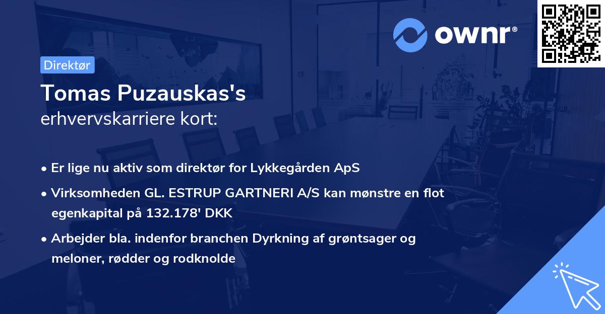 Tomas Puzauskas's erhvervskarriere kort