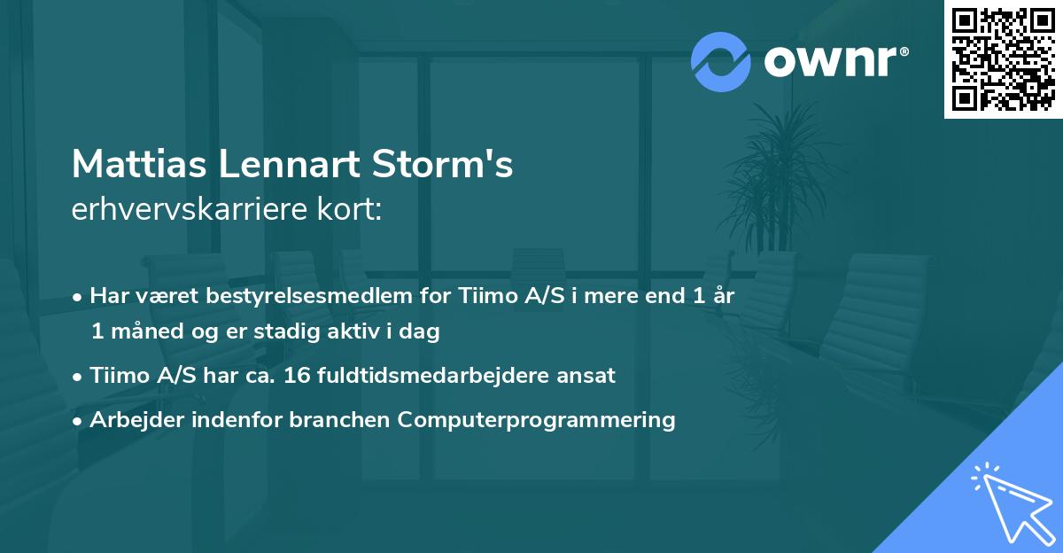 Mattias Lennart Storm's erhvervskarriere kort