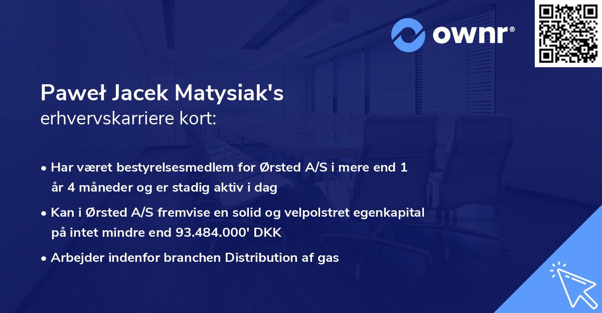 Paweł Jacek Matysiak's erhvervskarriere kort