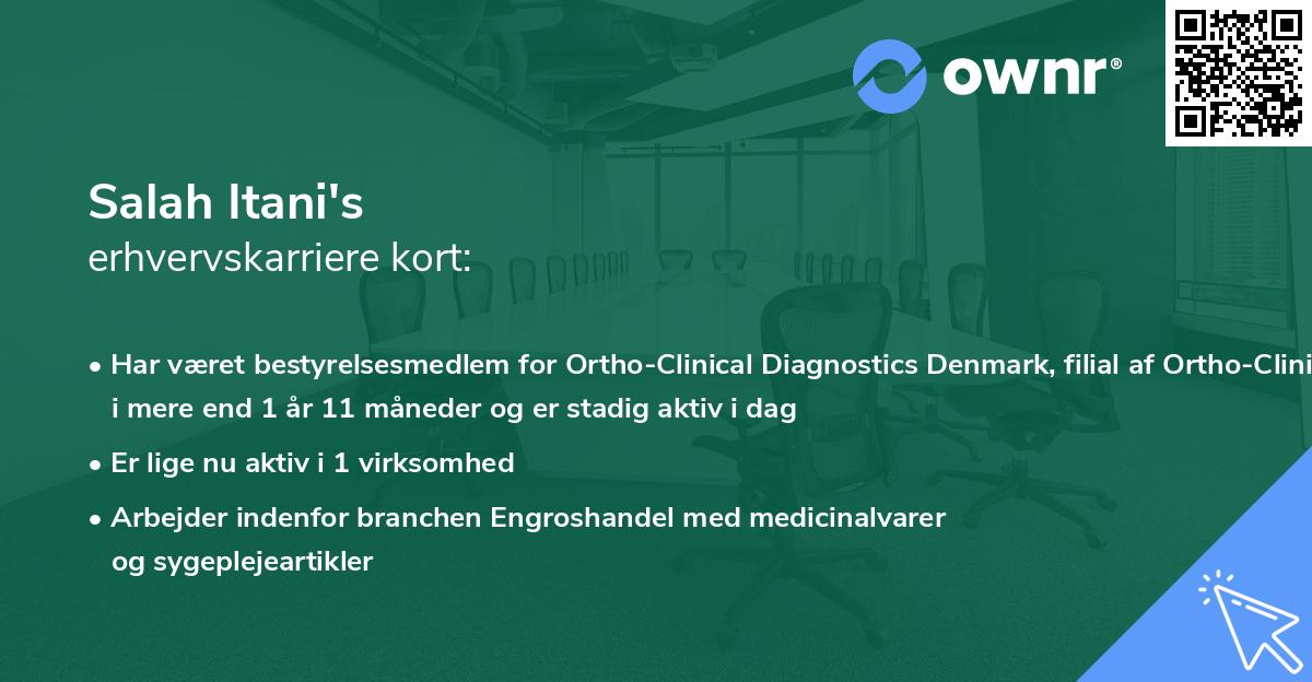Salah Itani's erhvervskarriere kort