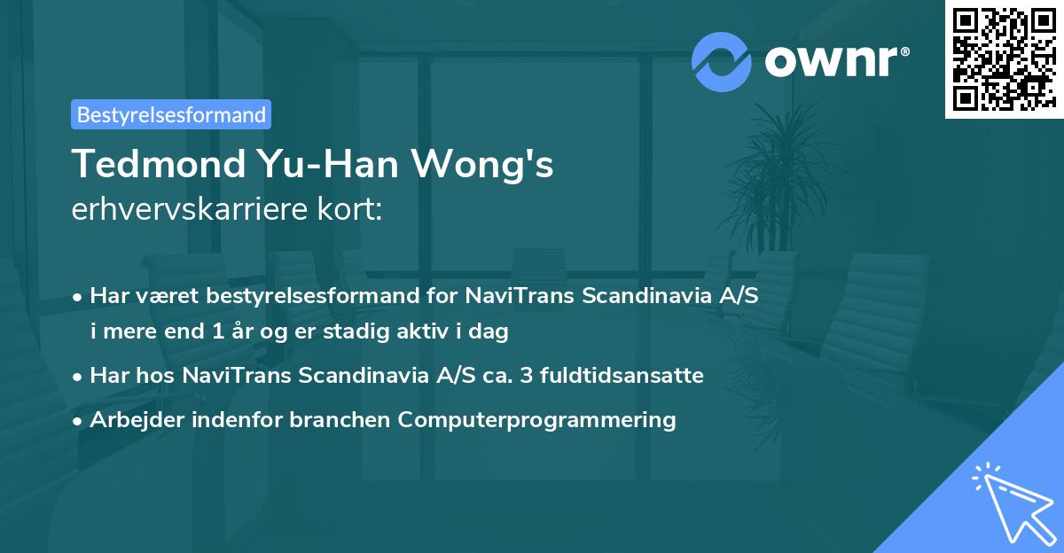 Tedmond Yu-Han Wong's erhvervskarriere kort