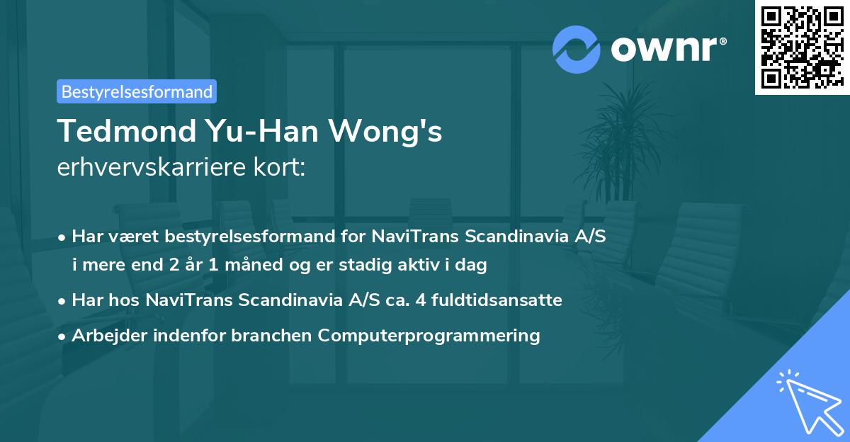 Tedmond Yu-Han Wong's erhvervskarriere kort