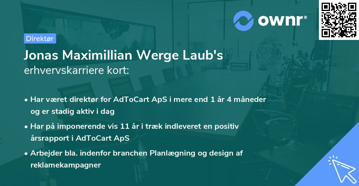 Jonas Maximillian Werge Laub's erhvervskarriere kort