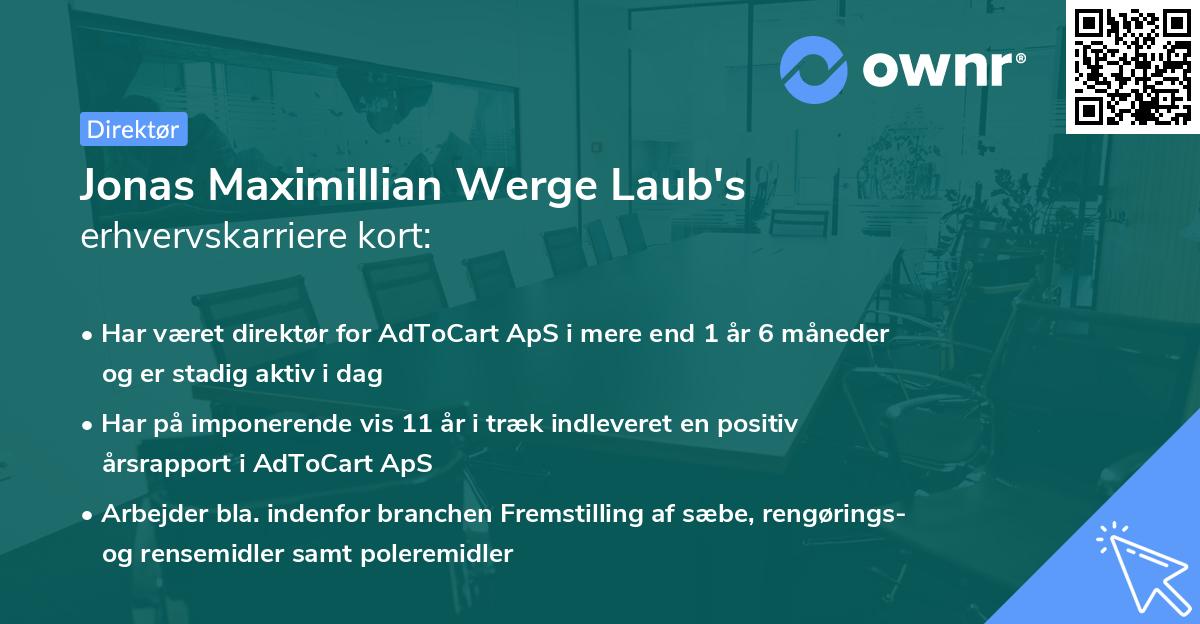 Jonas Maximillian Werge Laub's erhvervskarriere kort