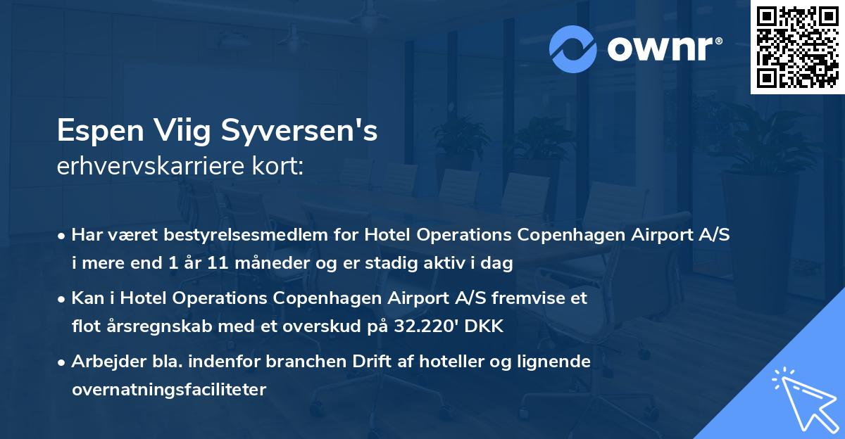 Espen Viig Syversen's erhvervskarriere kort
