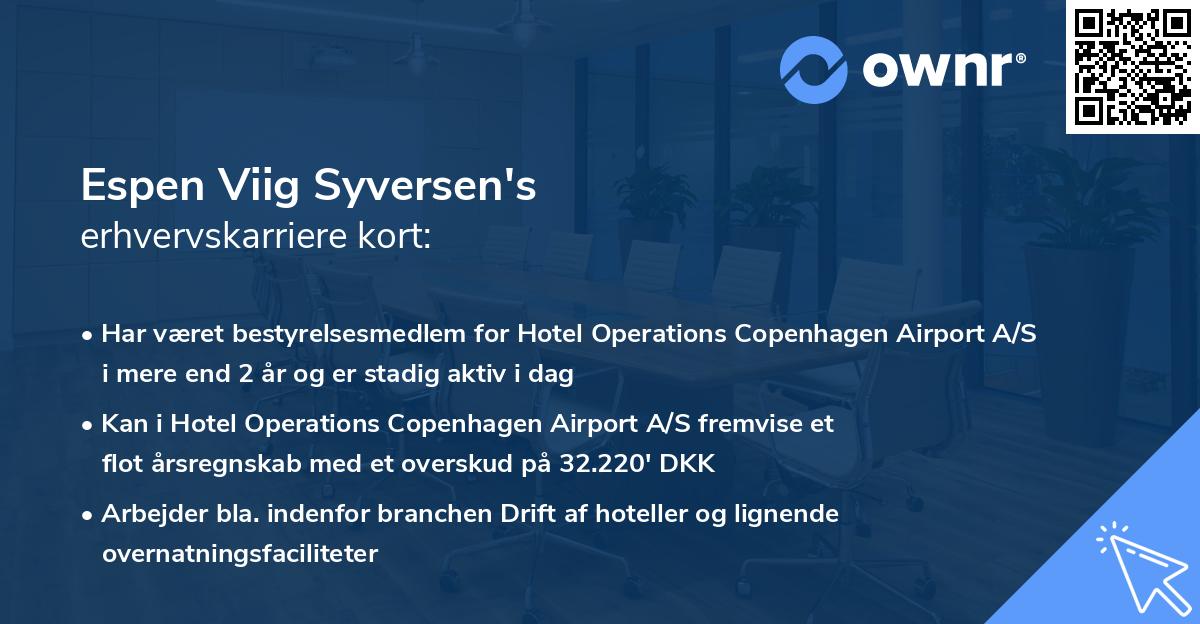 Espen Viig Syversen's erhvervskarriere kort