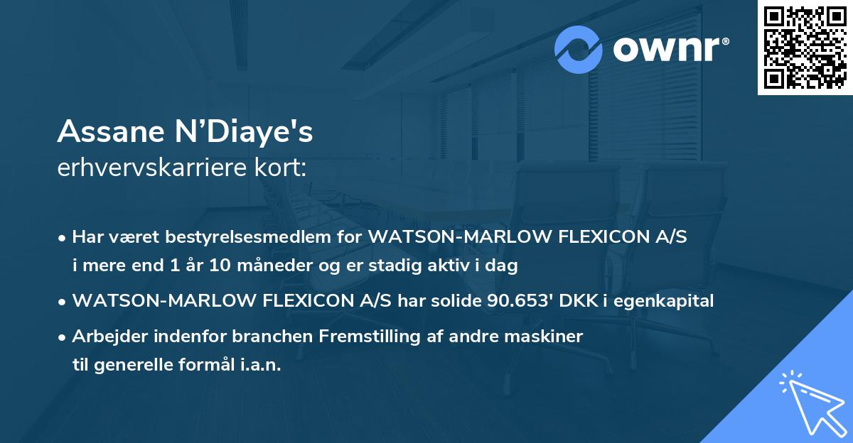 Assane N’Diaye's erhvervskarriere kort