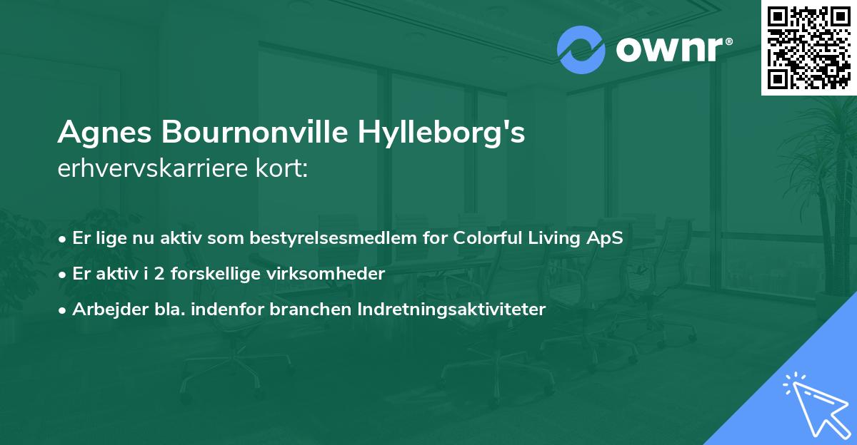 Agnes Bournonville Hylleborg's erhvervskarriere kort