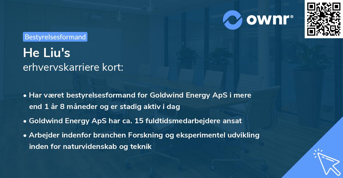 He Liu's erhvervskarriere kort