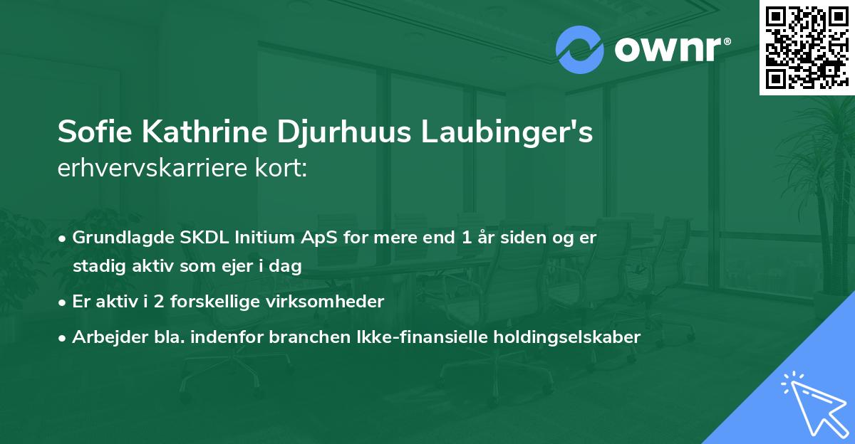Sofie Kathrine Djurhuus Laubinger's erhvervskarriere kort
