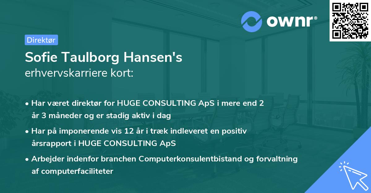 Sofie Taulborg Hansen's erhvervskarriere kort