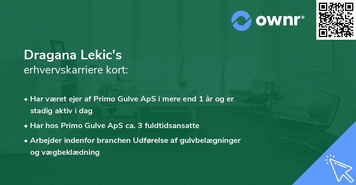 Dragana Lekic's erhvervskarriere kort