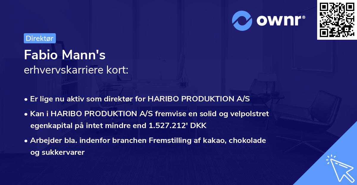 Fabio Mann's erhvervskarriere kort