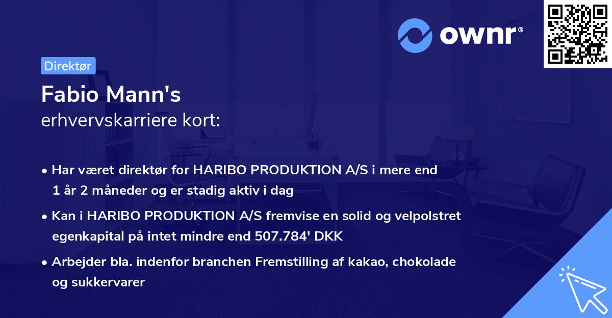Fabio Mann's erhvervskarriere kort