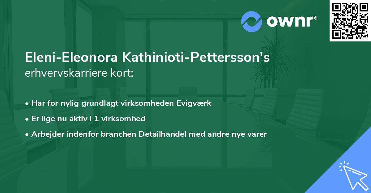 Eleni-Eleonora Kathinioti-Pettersson's erhvervskarriere kort