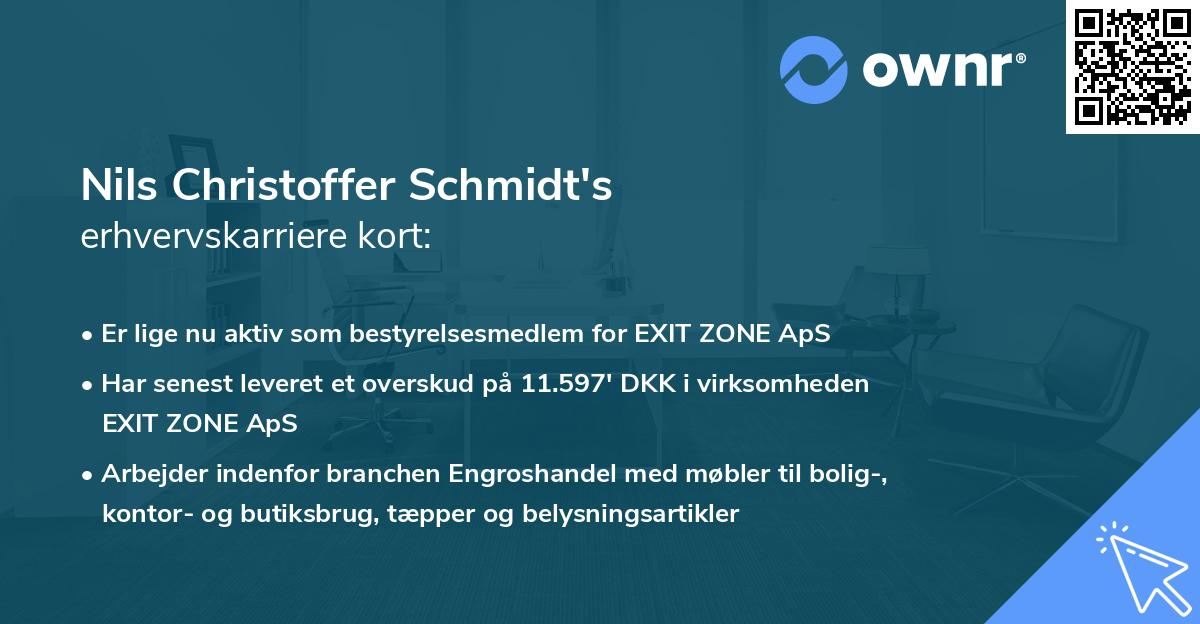 Nils Christoffer Schmidt's erhvervskarriere kort