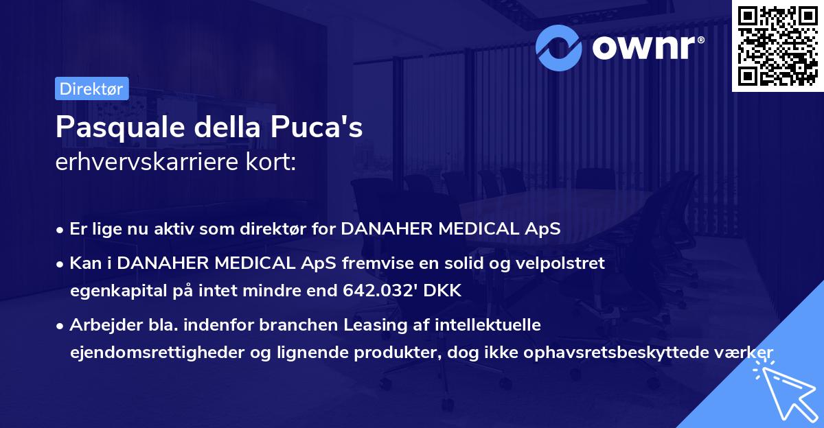 Pasquale della Puca's erhvervskarriere kort