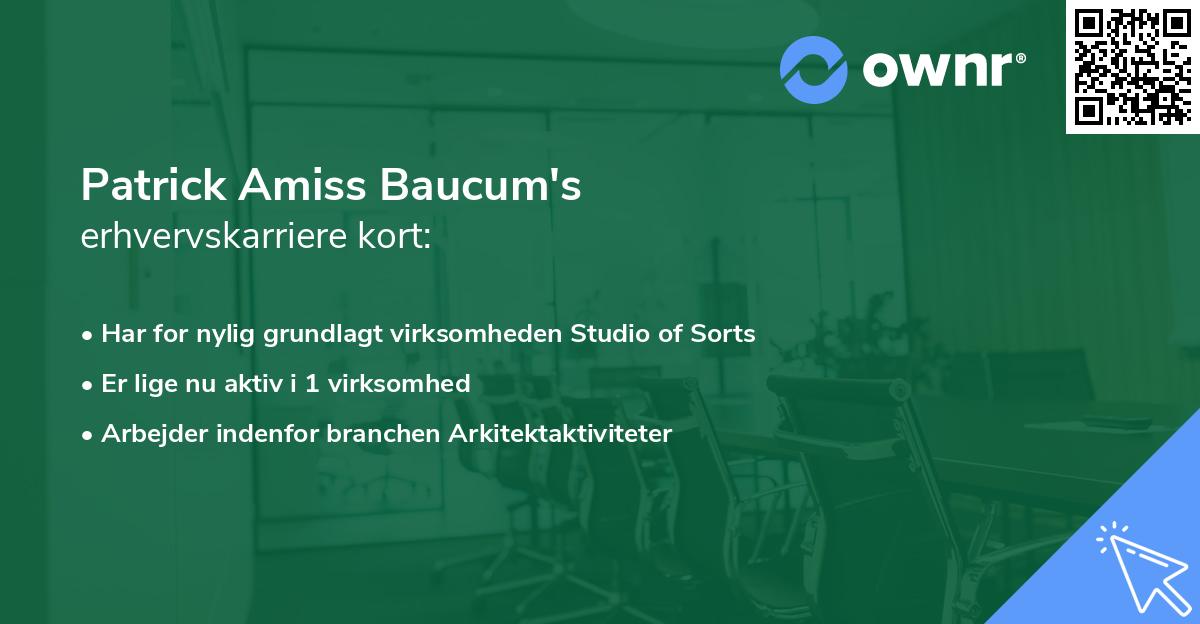 Patrick Amiss Baucum's erhvervskarriere kort