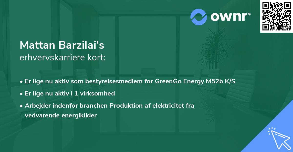 Mattan Barzilai's erhvervskarriere kort