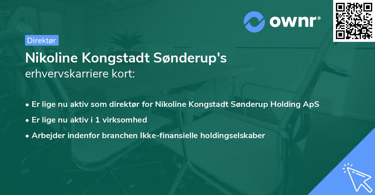 Nikoline Kongstadt Sønderup's erhvervskarriere kort