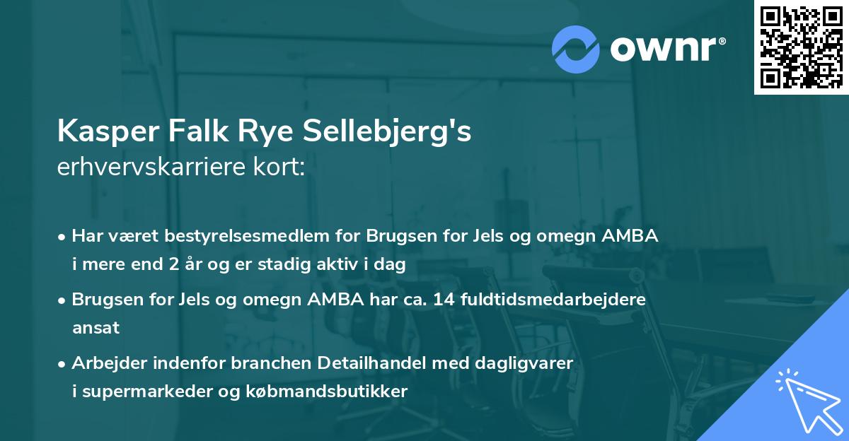 Kasper Falk Rye Sellebjerg's erhvervskarriere kort