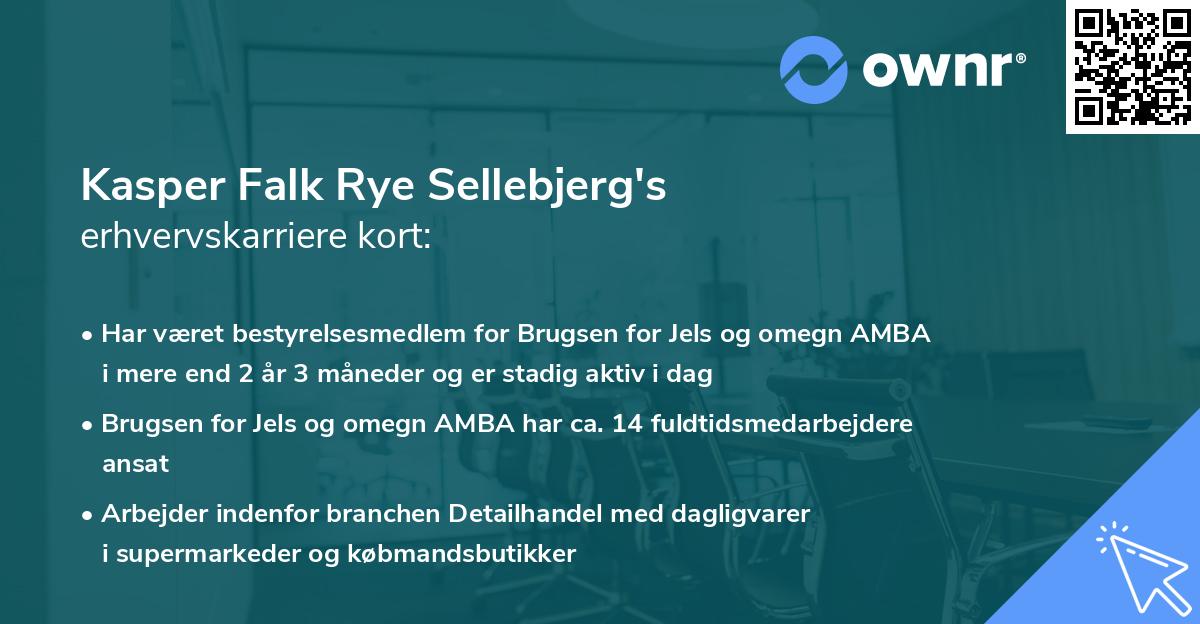 Kasper Falk Rye Sellebjerg's erhvervskarriere kort