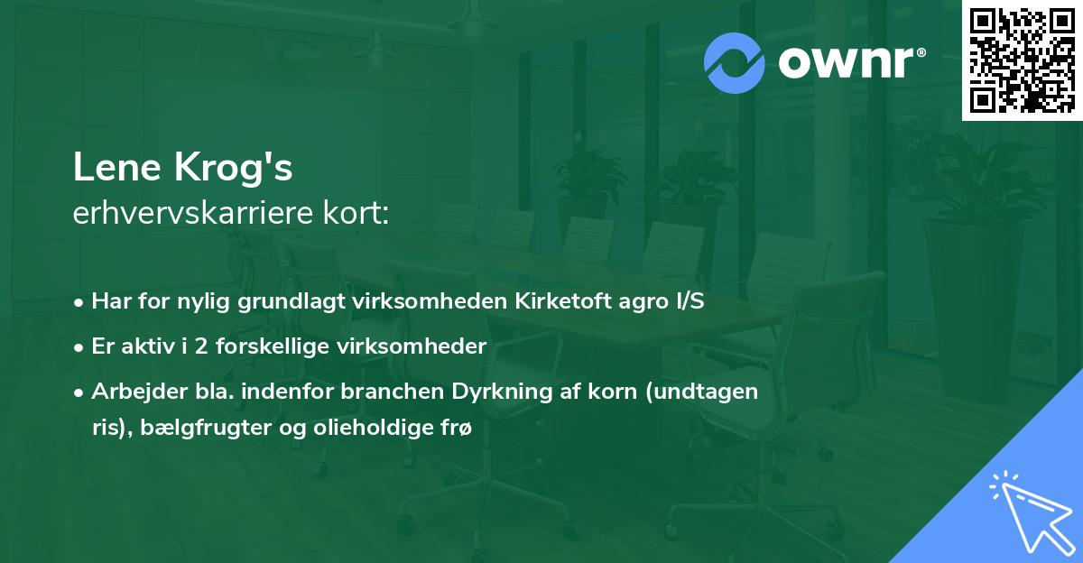 Lene Krog's erhvervskarriere kort