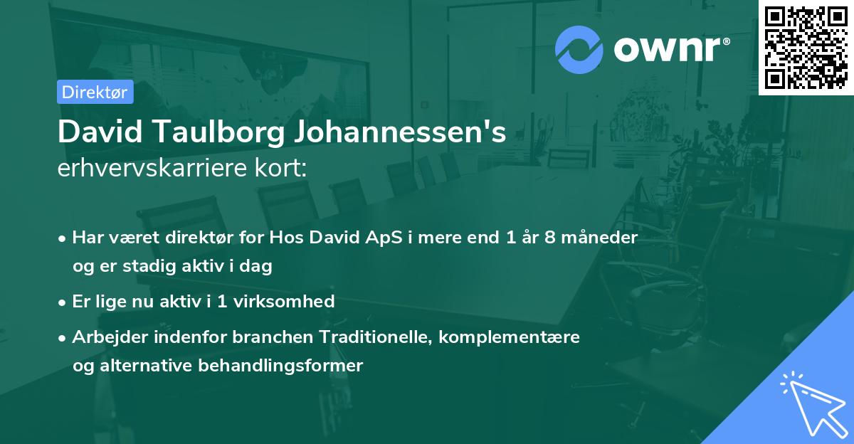 David Taulborg Johannessen's erhvervskarriere kort