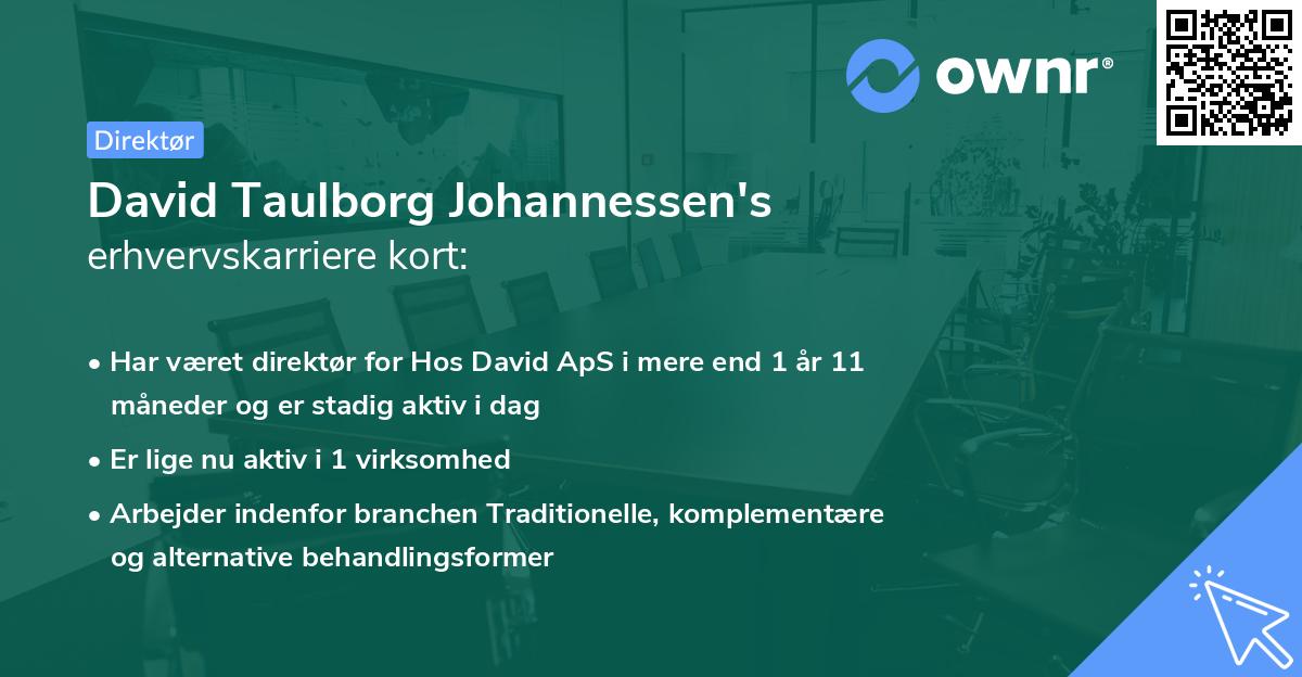 David Taulborg Johannessen's erhvervskarriere kort