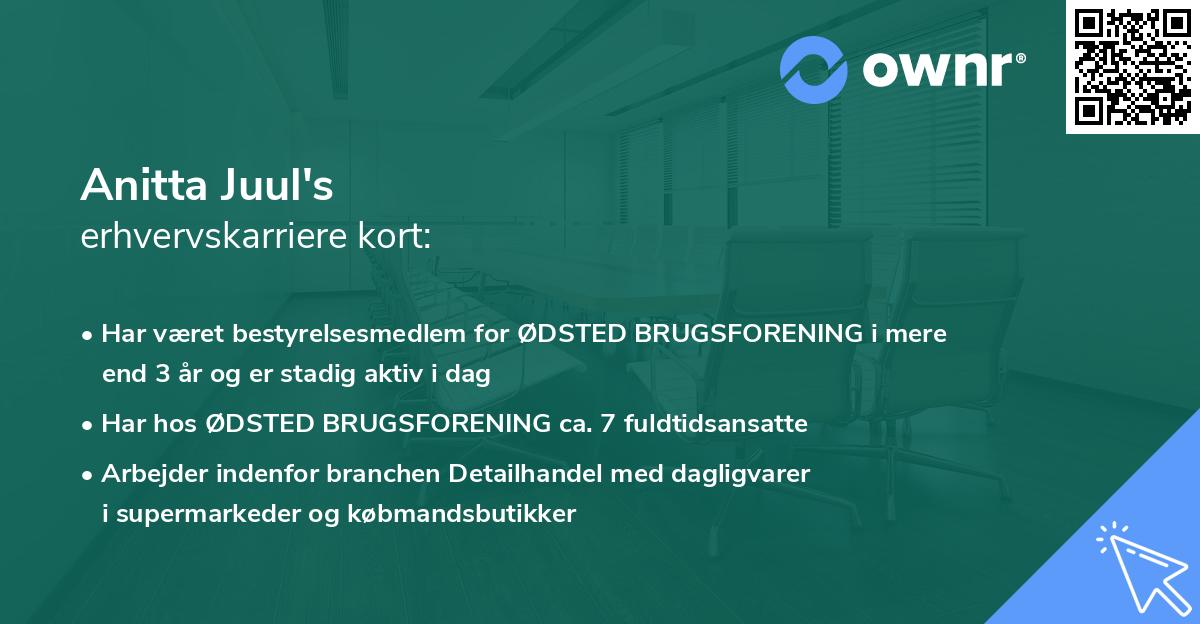 Anitta Juul's erhvervskarriere kort
