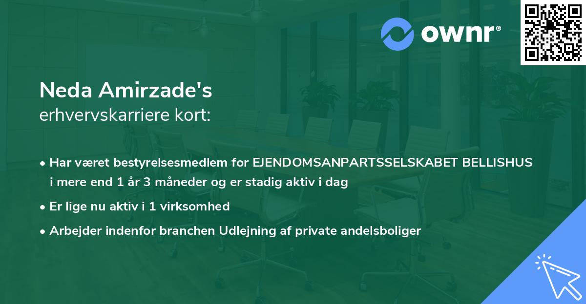 Neda Amirzade's erhvervskarriere kort