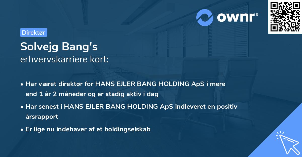 Solvejg Bang's erhvervskarriere kort