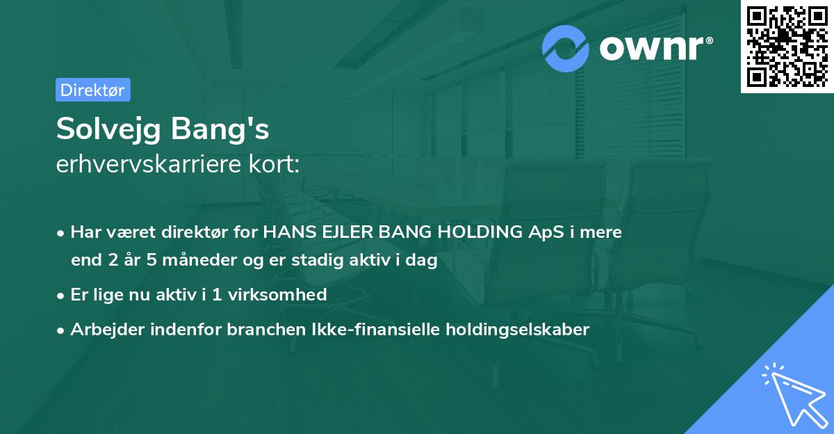 Solvejg Bang's erhvervskarriere kort