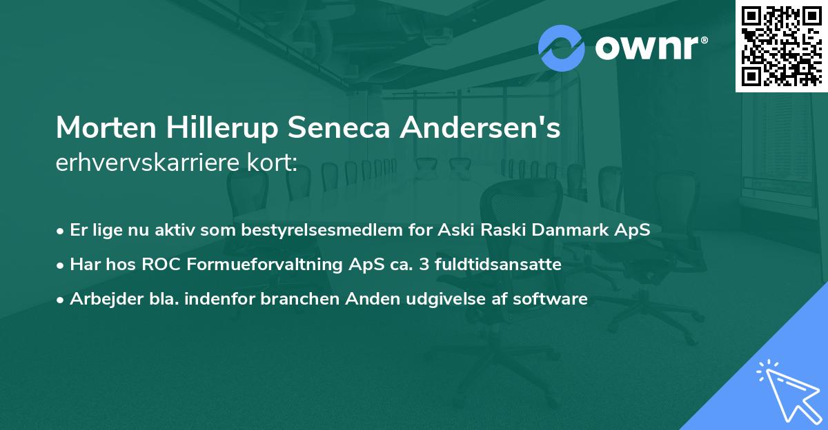 Morten Hillerup Seneca Andersen's erhvervskarriere kort