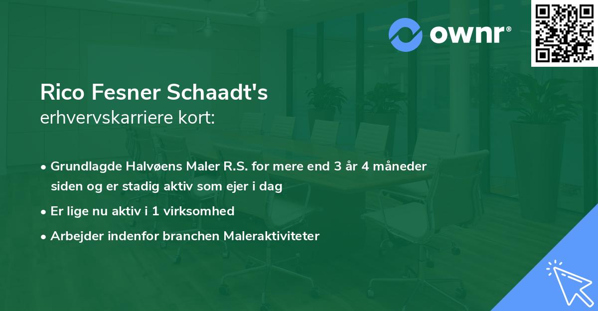 Rico Fesner Schaadt's erhvervskarriere kort