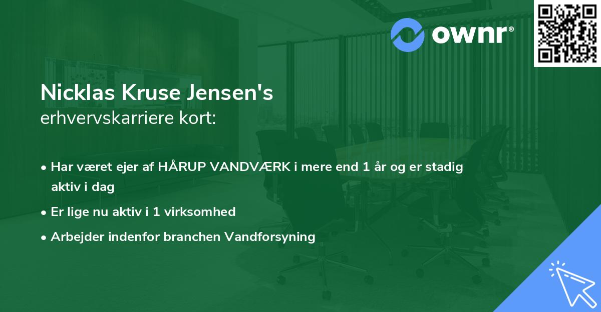 Nicklas Kruse Jensen's erhvervskarriere kort