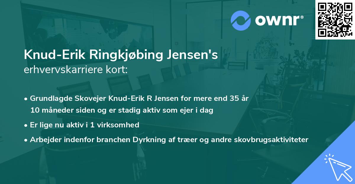 Knud-Erik Ringkjøbing Jensen's erhvervskarriere kort