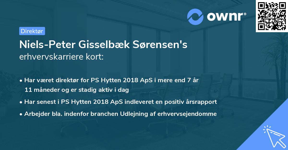 Niels-Peter Gisselbæk Sørensen's erhvervskarriere kort