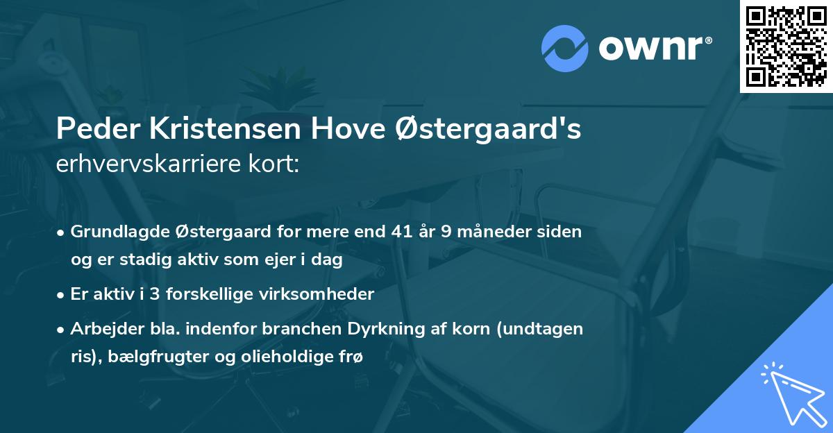 Peder Kristensen Hove Østergaard's erhvervskarriere kort