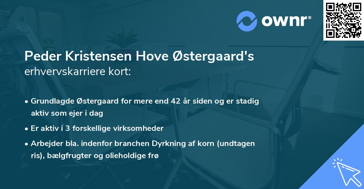 Peder Kristensen Hove Østergaard's erhvervskarriere kort