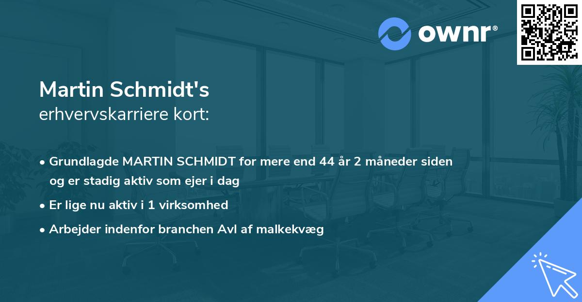 Martin Schmidt's erhvervskarriere kort