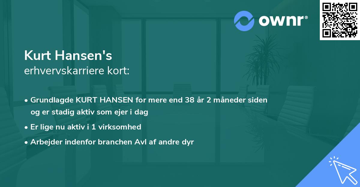 Kurt Hansen's erhvervskarriere kort