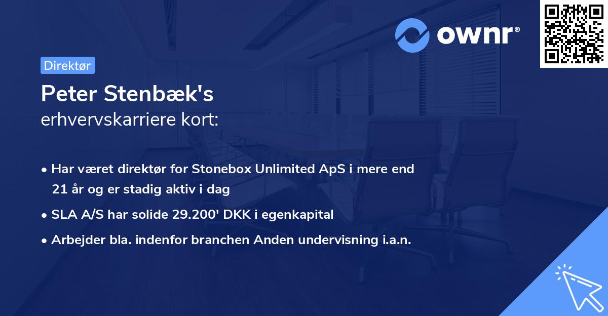 Peter Stenbæk's erhvervskarriere kort