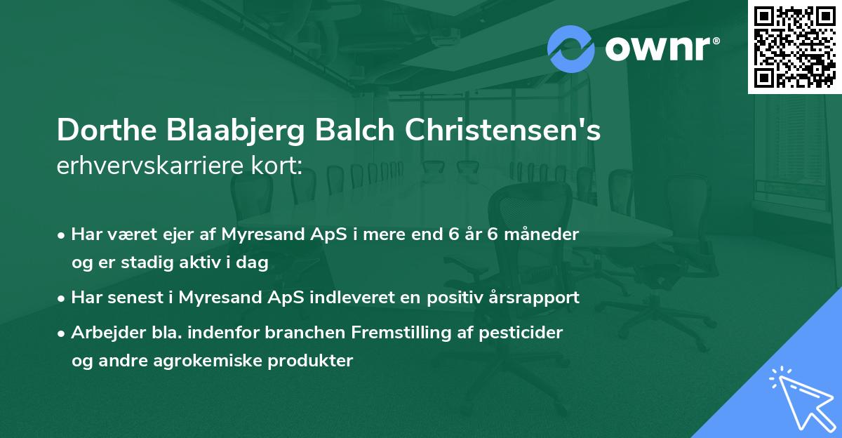 Dorthe Blaabjerg Balch Christensen's erhvervskarriere kort
