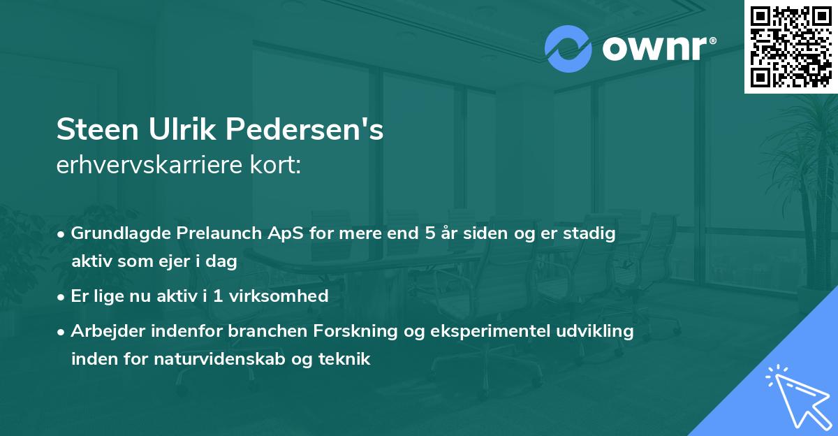 Steen Ulrik Pedersen's erhvervskarriere kort