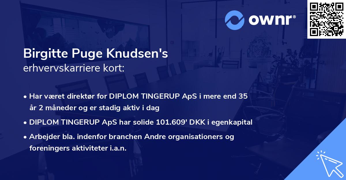 Birgitte Puge Knudsen's erhvervskarriere kort