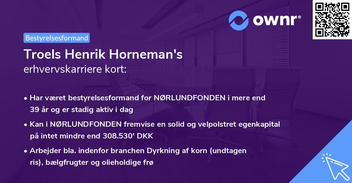 Troels Henrik Horneman's erhvervskarriere kort