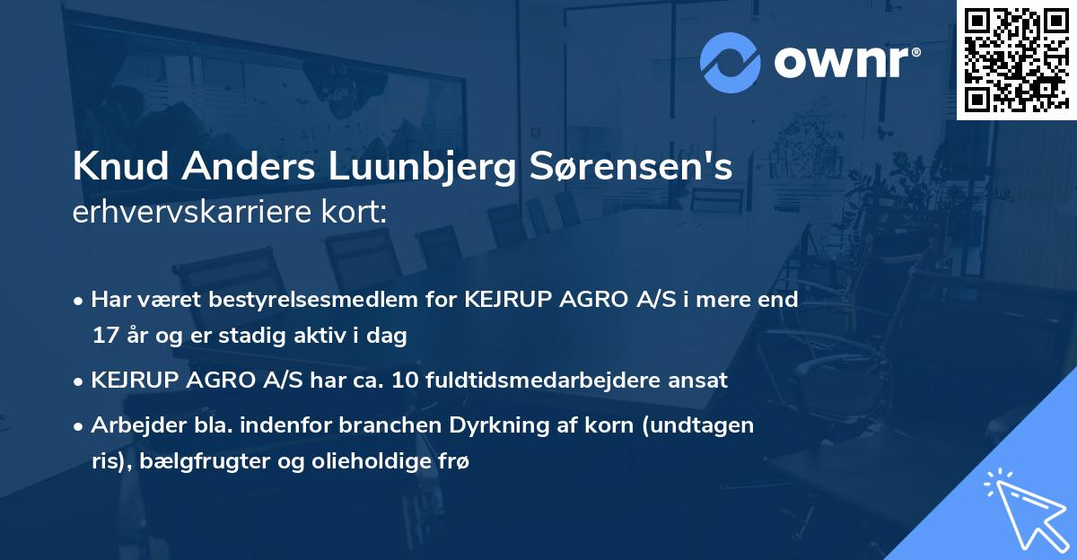 Knud Anders Luunbjerg Sørensen's erhvervskarriere kort